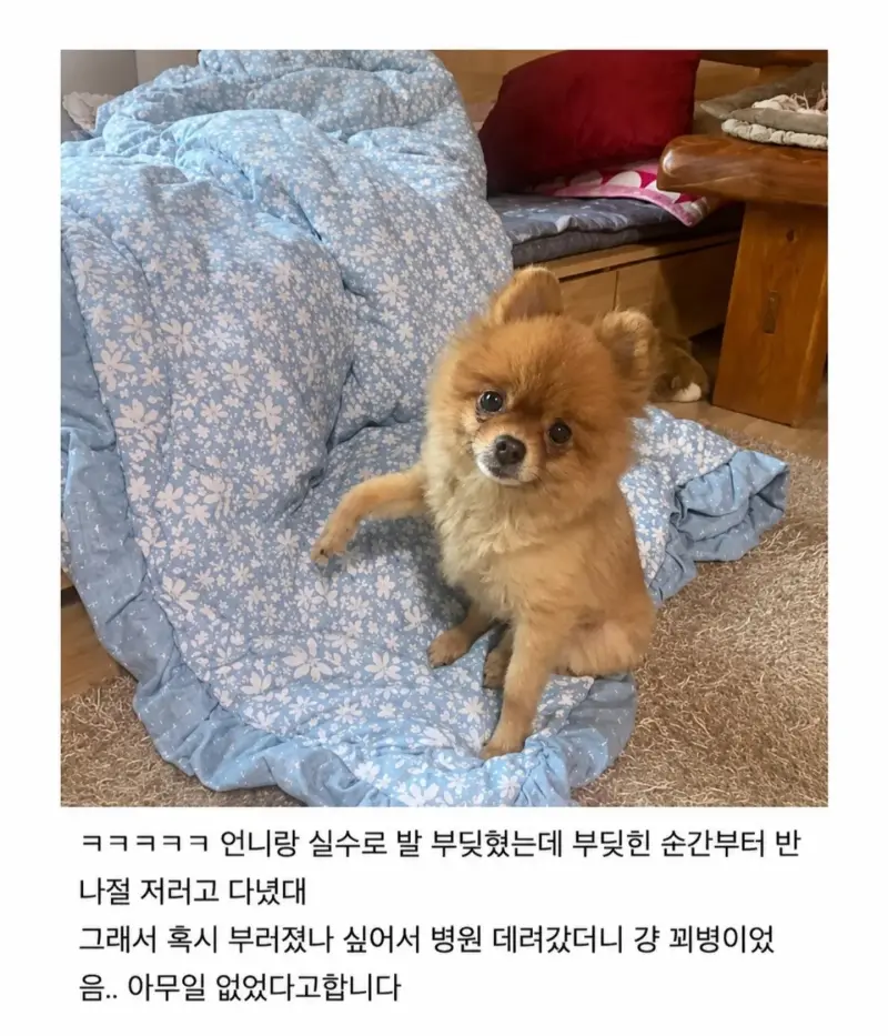 i1795881040.webp