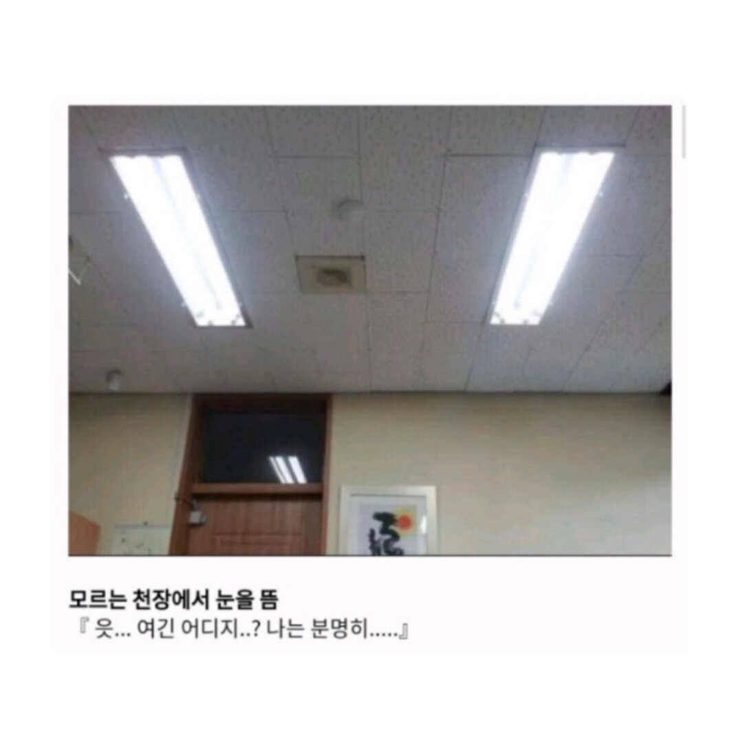i1803132147.jpg