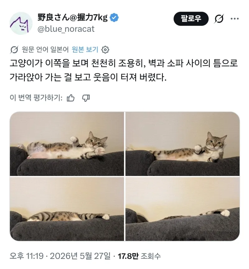 i1812997067.webp