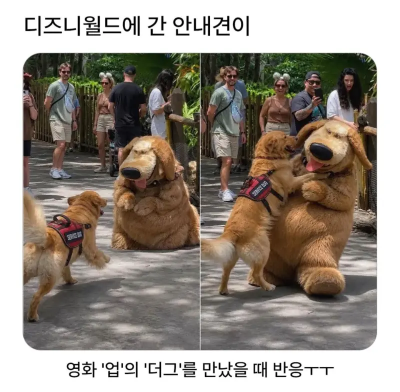 i1837853211.webp