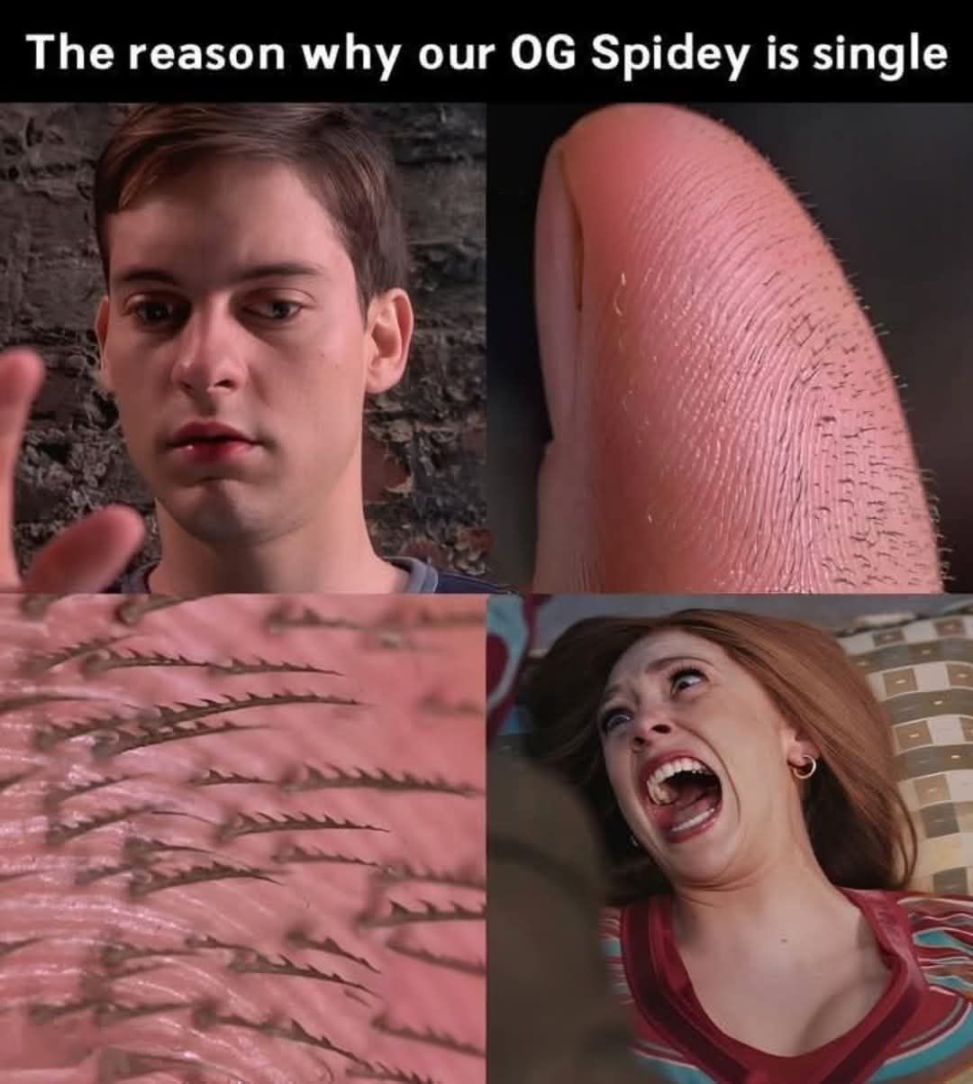 i1939963948.jpg