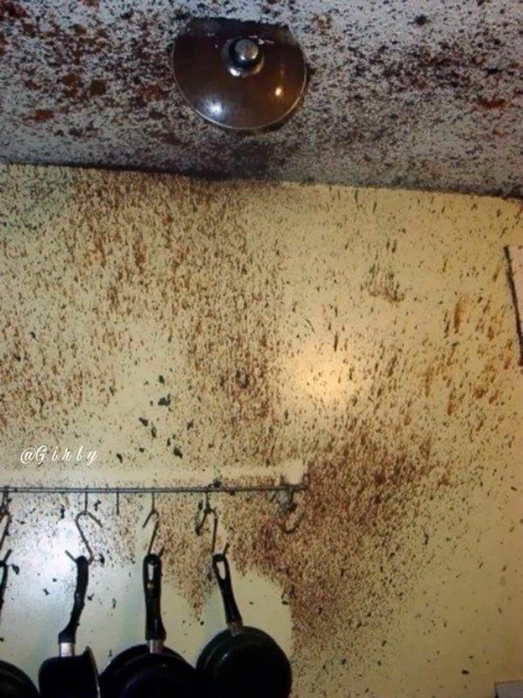 i1946091898.jpg