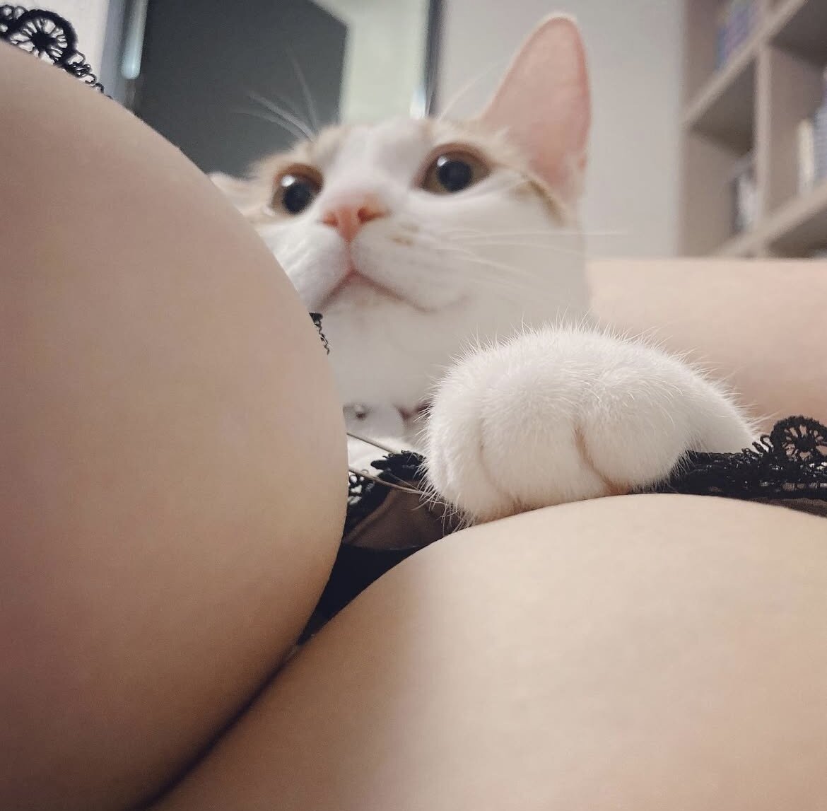 i1955097330.jpg
