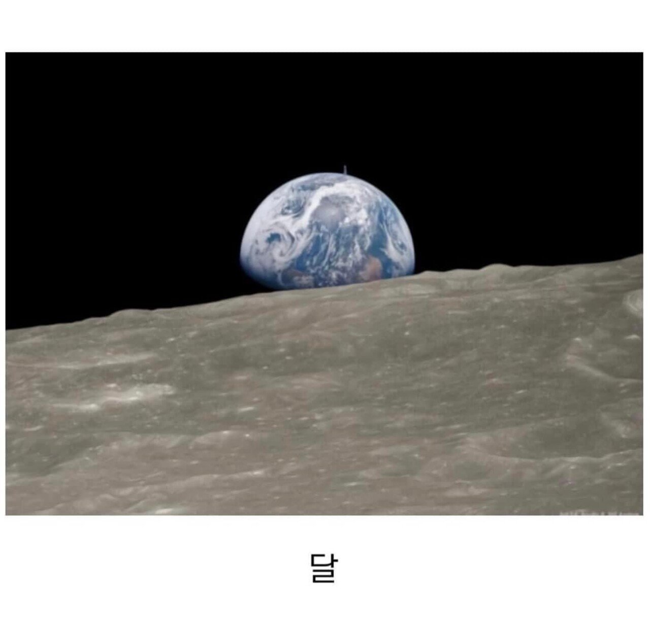 i1958914719.jpg