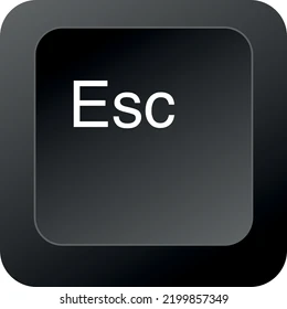 i1999978435.webp
